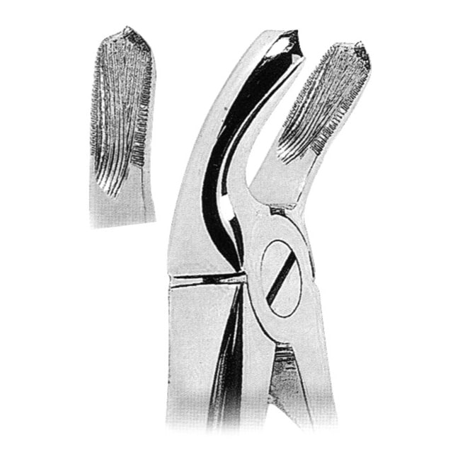 Extracting Forceps Extracting Forceps