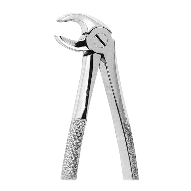 Extracting Forceps Extracting Forceps