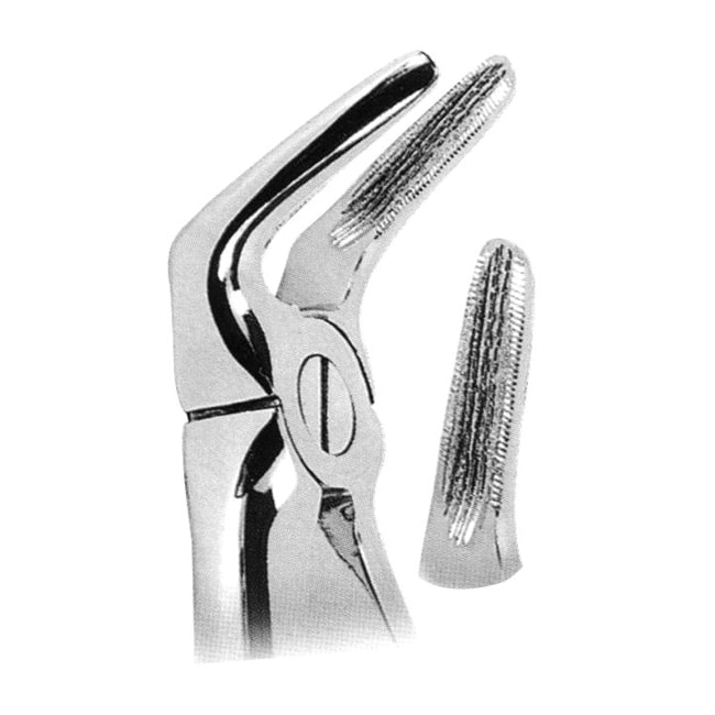 Extracting Forceps Extracting Forceps