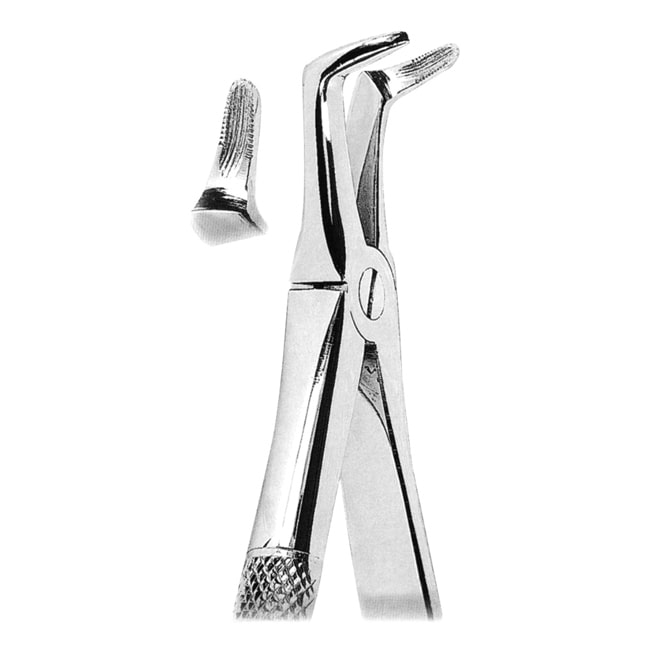 Extracting Forceps Extracting Forceps