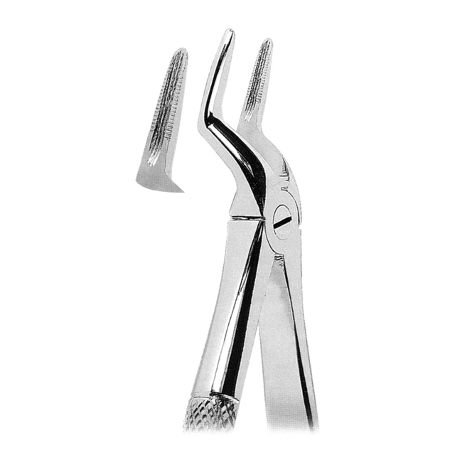 Extracting Forceps Extracting Forceps