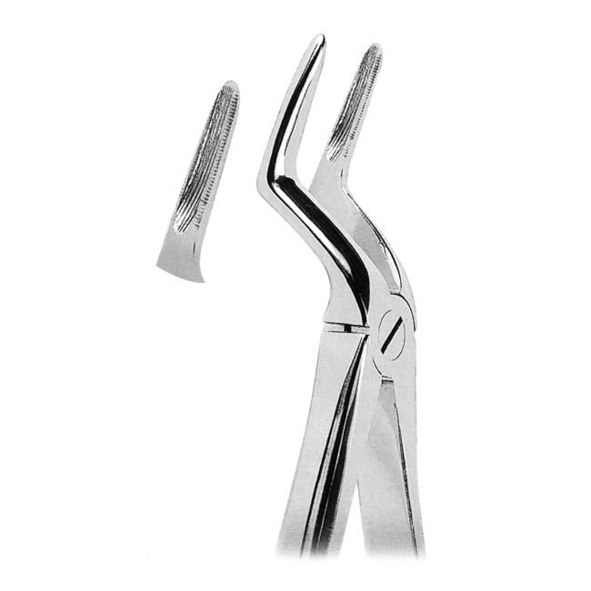 Extracting Forceps Extracting Forceps