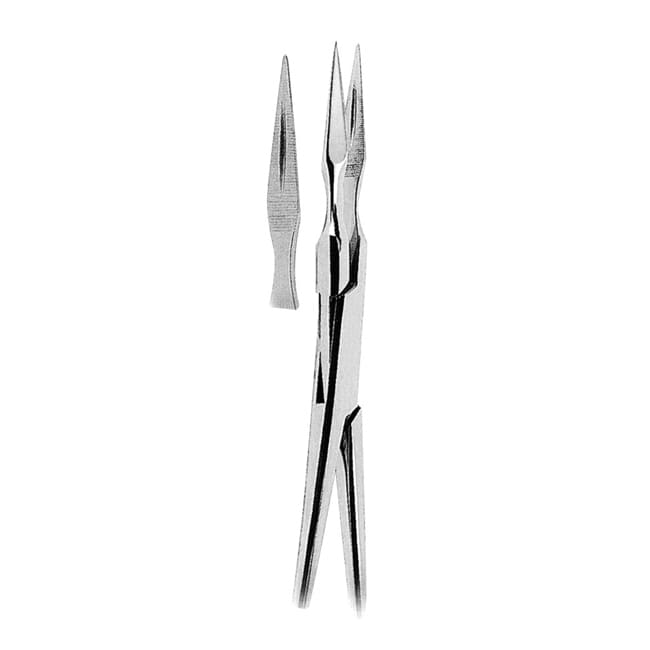 Root Splinter Forceps Root Splinter Forceps