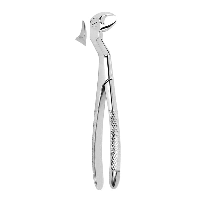 Extracting Forceps Extracting Forceps