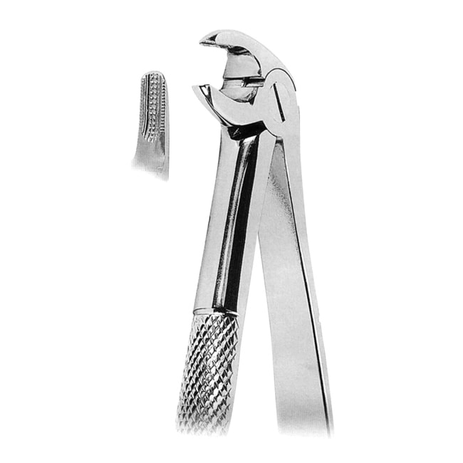 Extracting Forceps- Mead Pattern Extracting Forceps- Mead Pattern