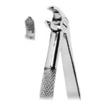 Extracting Forceps- Mead Pattern