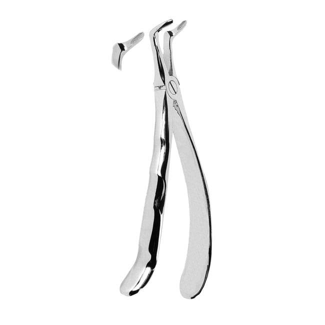 Extracting Forceps with Anatomically Shaped Handle Extracting Forceps with Anatomically Shaped Handle