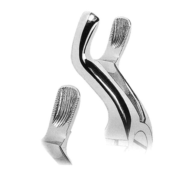Extracting Forceps with Anatomically Shaped Handle Extracting Forceps with Anatomically Shaped Handle