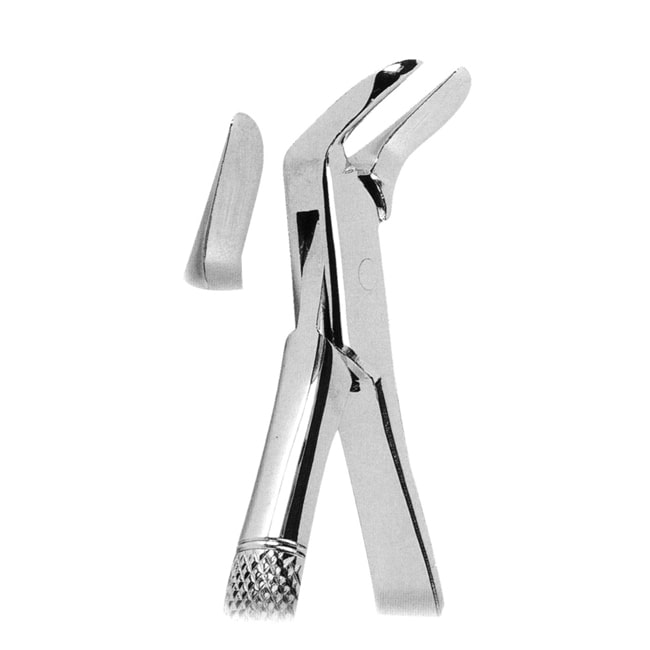 Extracting Forceps with Anatomically Shaped Handle Extracting Forceps with Anatomically Shaped Handle