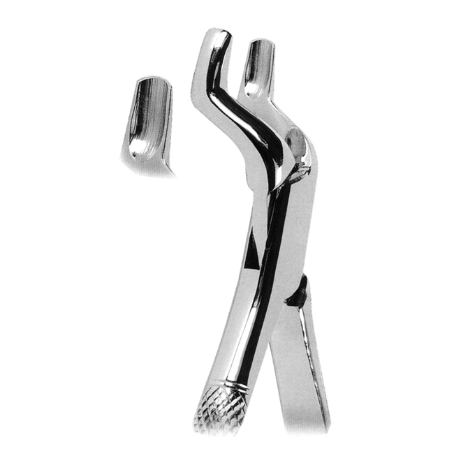 Extracting Forceps American Pattern Extracting Forceps American Pattern