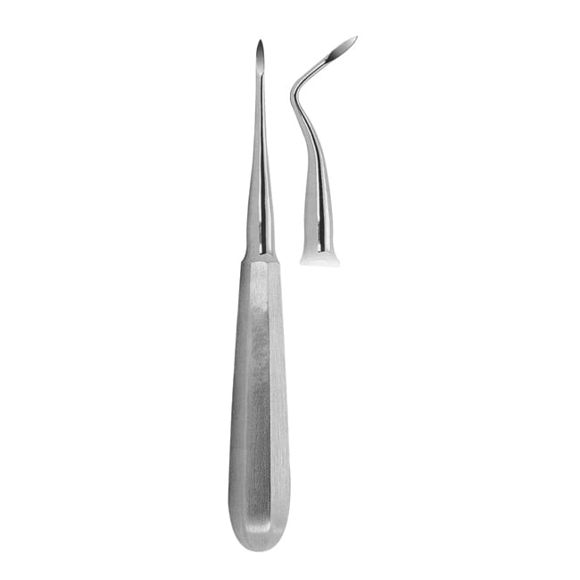 Root-Tip Picks Root-Tip Picks