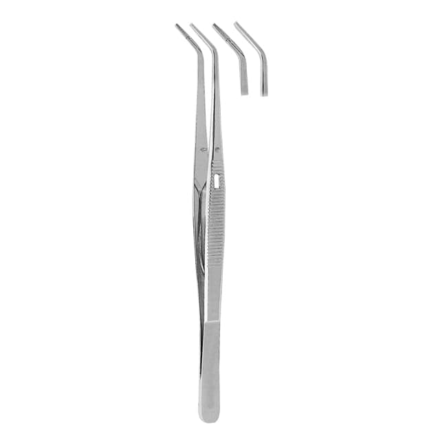 Cotton & Dressing Pliers Cotton & Dressing Pliers