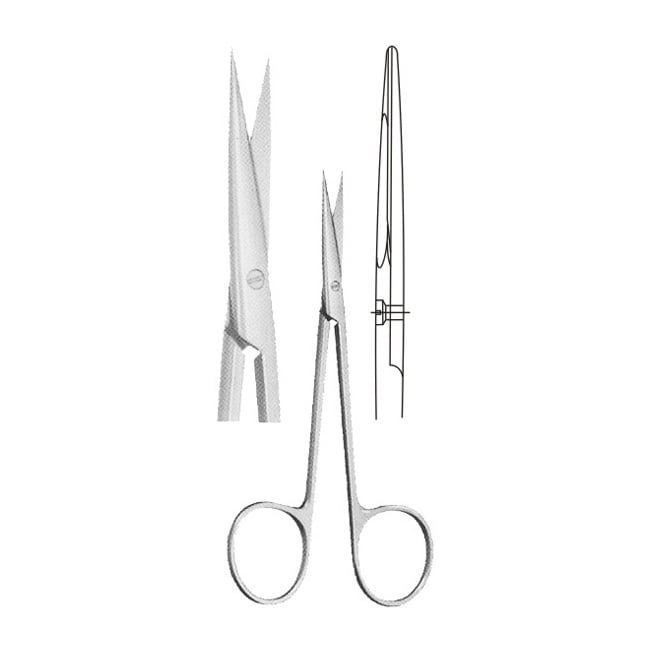 Delicate Scissors Delicate Scissors