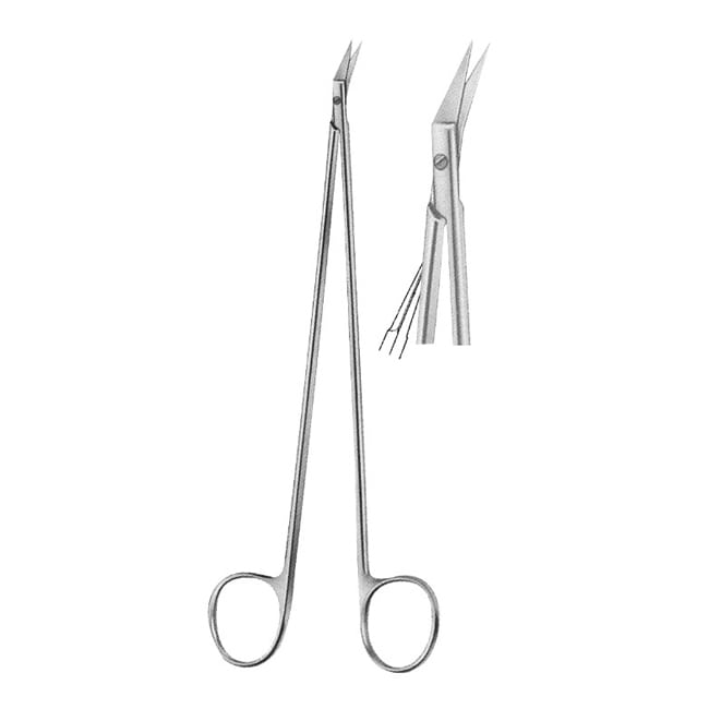 Oral Scissors Oral Scissors
