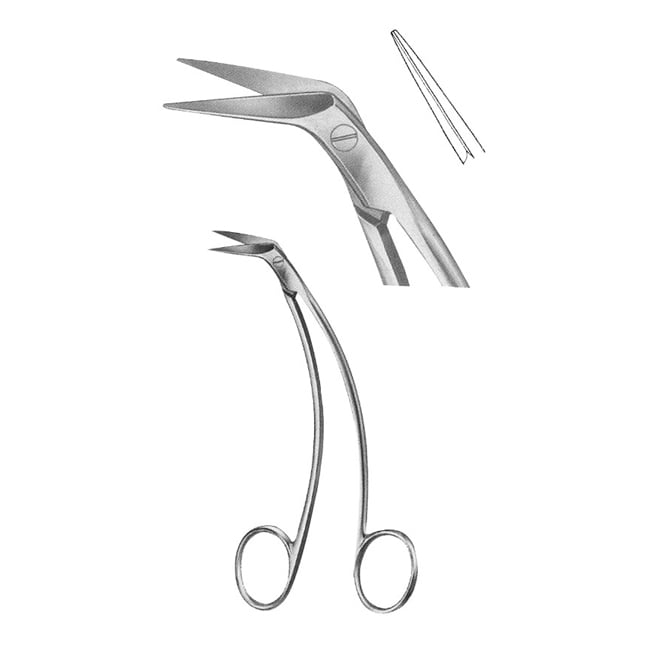Oral Scissors Oral Scissors