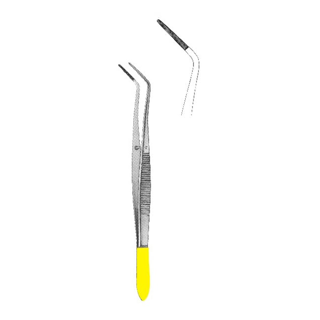 TC Dissecting Forceps TC Dissecting Forceps