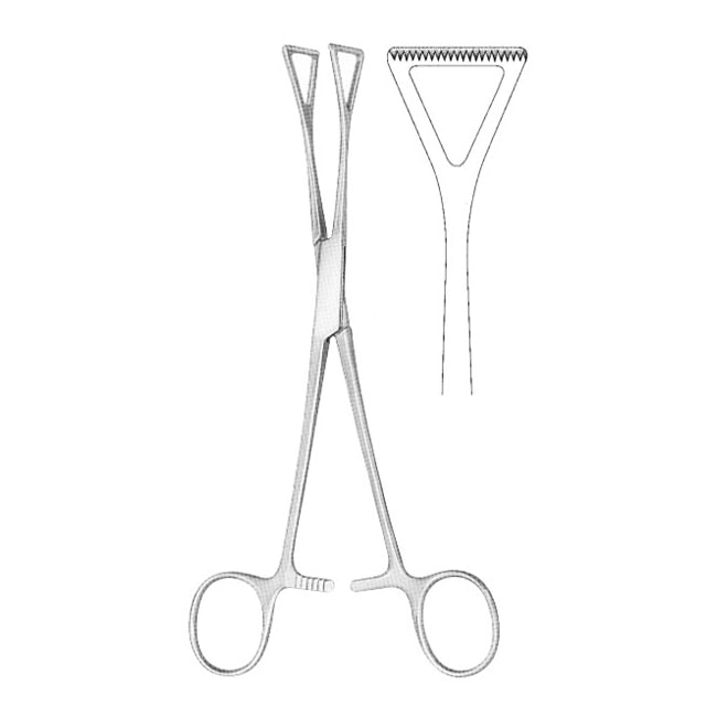 Tissue Forceps Tissue Forceps