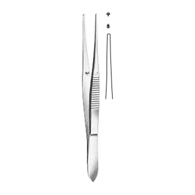 Toothed Dissecting Forceps Toothed Dissecting Forceps