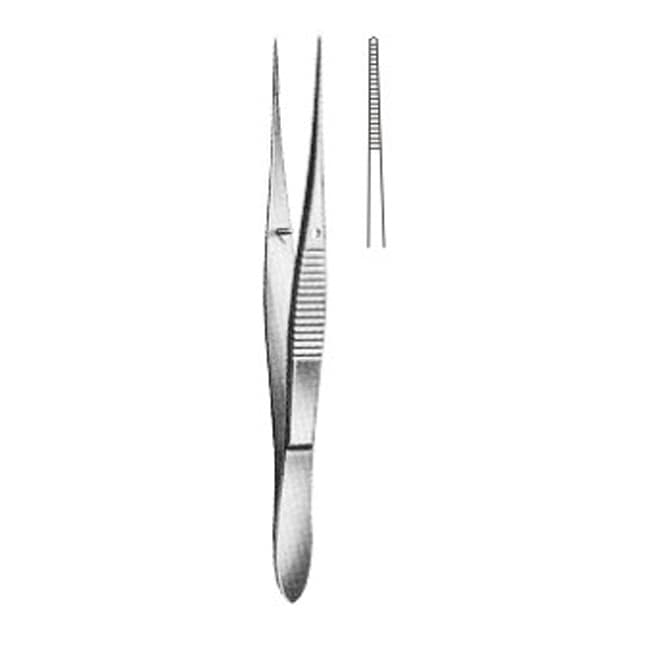 Delicate Disecting Forceps Delicate Disecting Forceps