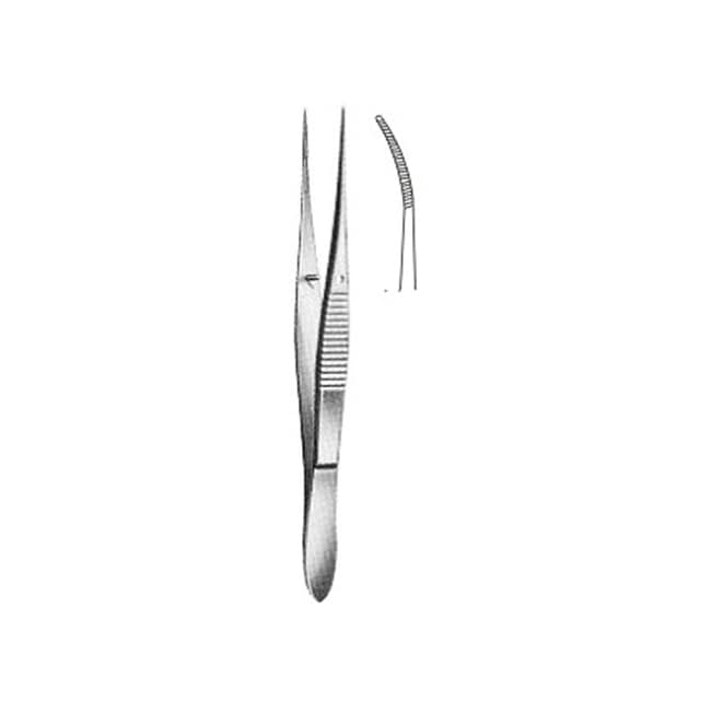 Delicate Disecting Forceps Delicate Disecting Forceps