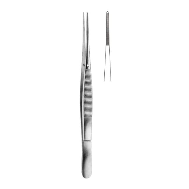 Delicate Disecting Forceps Delicate Disecting Forceps