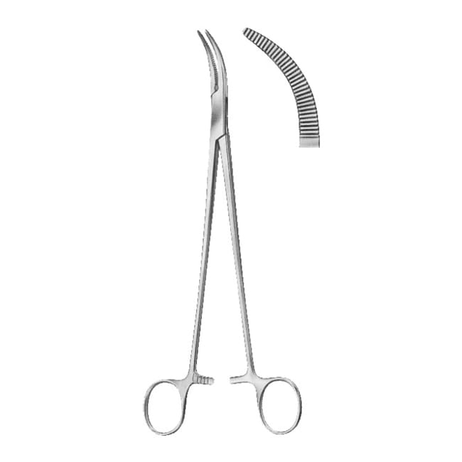 Cholecystectomy & Gall Stone Cholecystectomy & Gall Stone