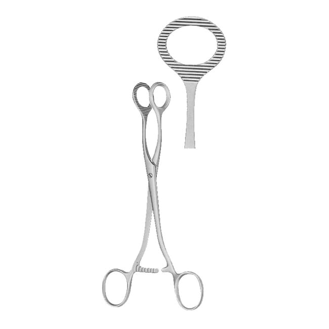 Ovum Forceps Ovum Forceps
