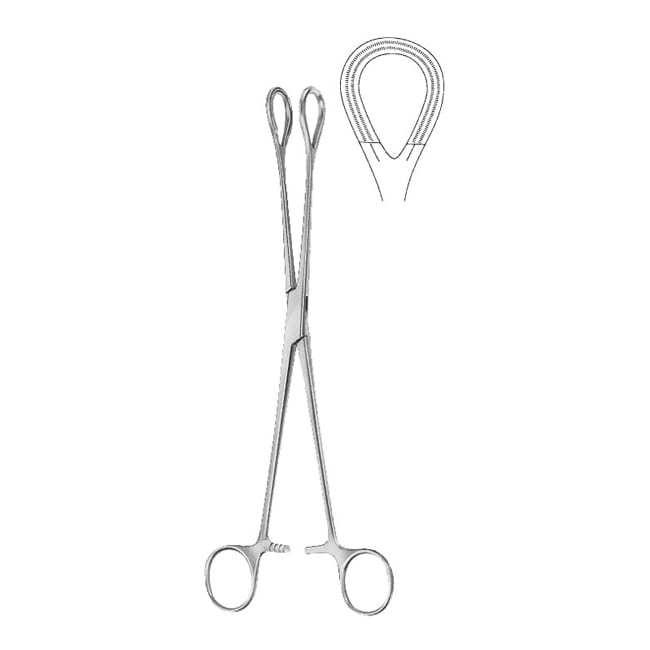 Ovum Forceps Ovum Forceps