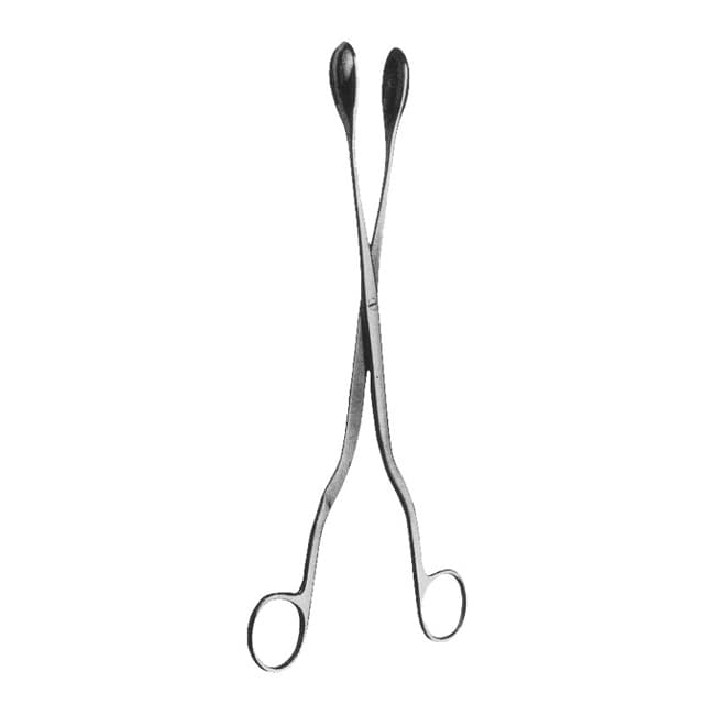 Ovum Forceps Ovum Forceps
