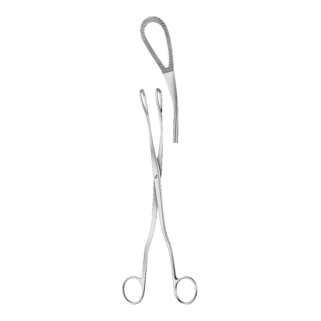 Ovum Forceps Ovum Forceps